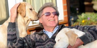 Homem mantém seu cão-guia que ficou cego e agora os dois compartilham um cão-guia