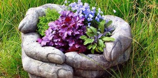 Amar não é garimpo, é jardinagem