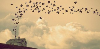 Sobre estar onde você está, onde quer que esteja