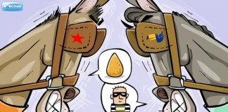 Petralhas x Coxinhas : o estado de ódio no Brasil pelos olhos de  George Orwell