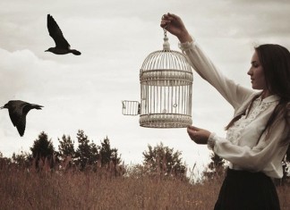 Pássaros engaiolados