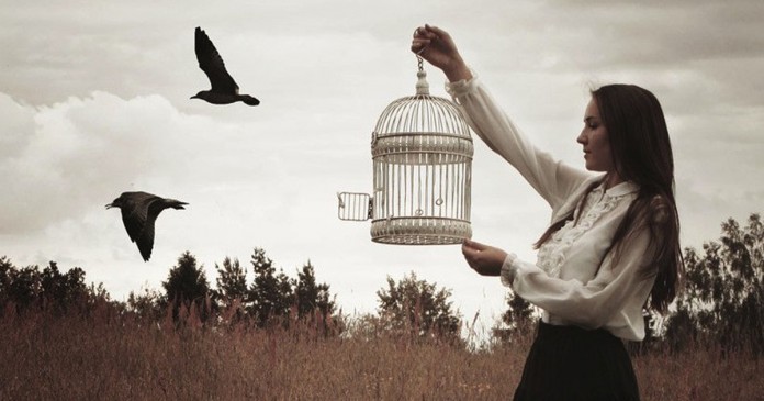 Pássaros engaiolados