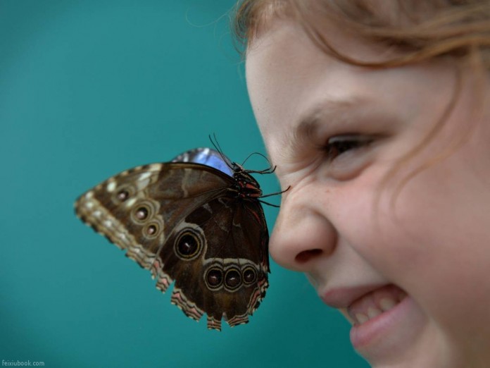 A má vontade disfarçada