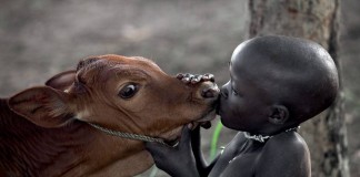 O conforto da ignorância e a nossa complicada relação com a carne O conforto da ignorância e a nossa complicada relação com a carne