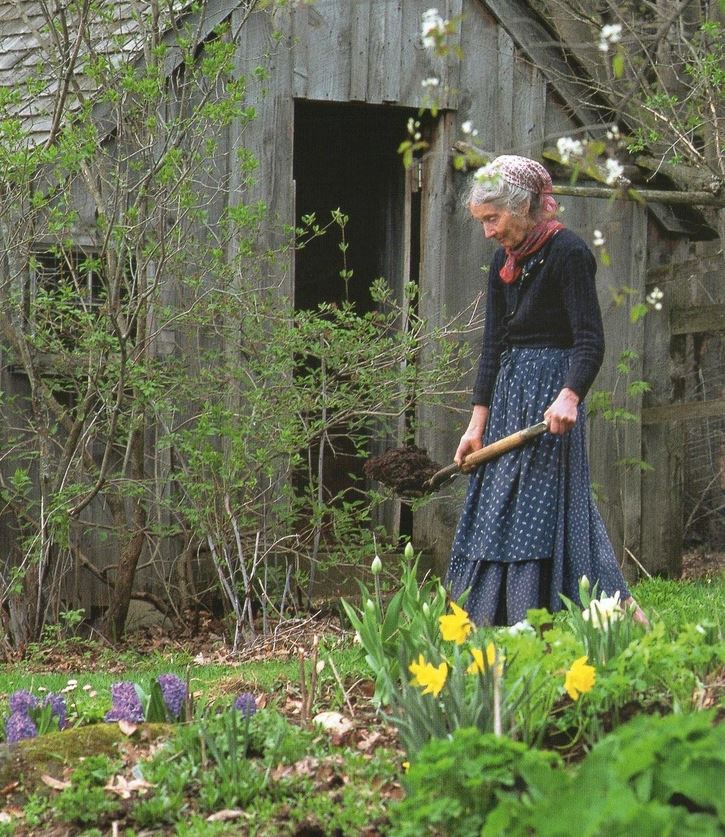 Minha herança, por Tailu Nascimento contioutra.com - Minha herança, por Tailu Nascimento