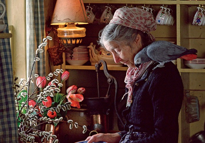 Tasha-tudor_parrot Minha herança, por Tailu Nascimento