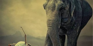 O impulso de falar justamente o que não devemos O impulso de falar justamente o que não devemos