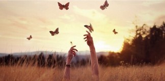 Paciência com os apaixonados, eles não sabem o que fazem