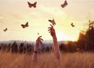 Paciência com os apaixonados, eles não sabem o que fazem