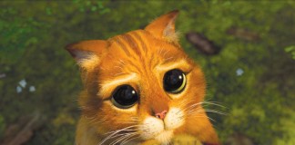 A Síndrome do Coitadinho