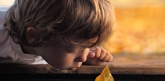 Pesquisa aponta que passar quatro dias na natureza sem tecnologias aumenta a criatividade em 50% Pesquisa aponta que passar quatro dias na natureza sem tecnologias aumenta a criatividade em 50%