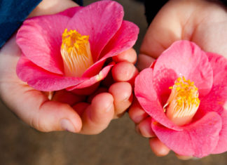 A necessidade de nos sentirmos frágeis