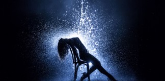 Loucura mesmo é não ter coragem de perder a razão.