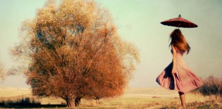 Nem todos que estão do seu lado estão com você Nem todos que estão do seu lado estão com você