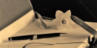 Carta de um perdão pendente Carta de um perdão pendente