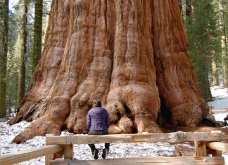 Não somos tão importantes quanto imaginamos