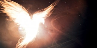 Algumas considerações sobre o Divino, a espiritualidade e as suas derivações mundanas