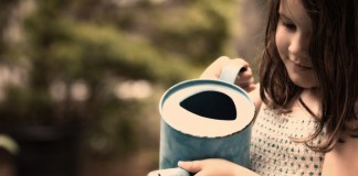 Você não colherá nada de novo enquanto continuar plantando as mesmas sementes Você não colherá nada de novo enquanto continuar plantando as mesmas sementes