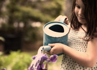 Você não colherá nada de novo enquanto continuar plantando as mesmas sementes