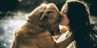 Segundo estudo, amor entre cachorro e dono é o mesmo de mãe e filho