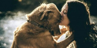 Segundo estudo, amor entre cachorro e dono é o mesmo de mãe e filho Segundo estudo, amor entre cachorro e dono é o mesmo de mãe e filho