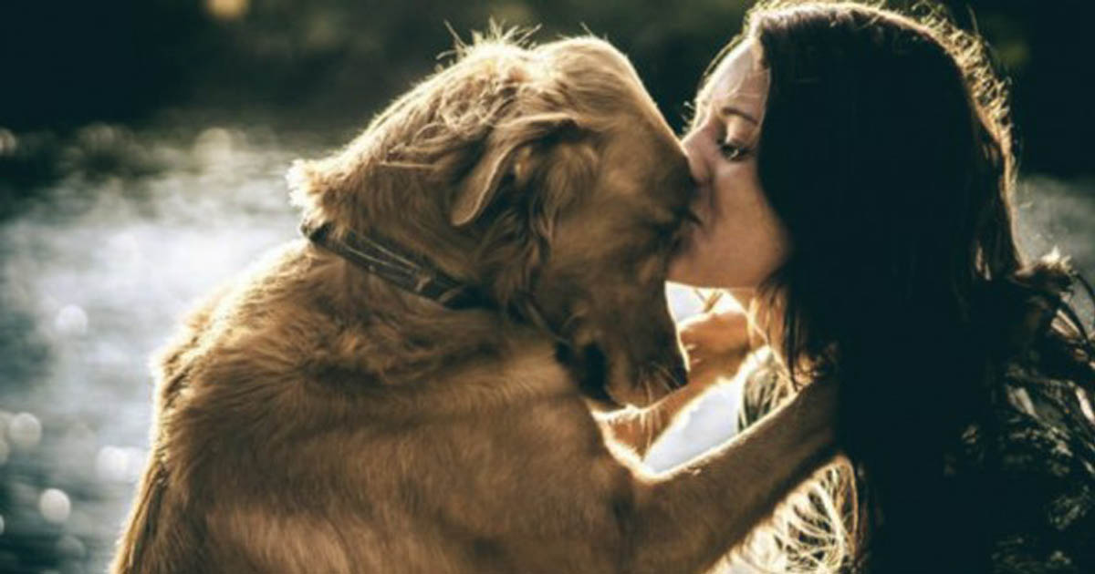 Resultado de imagem para Segundo estudo, amor entre cachorro e dono Ã© o mesmo de mÃ£e e filho
