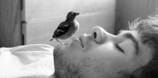 Por um mundo de sentimentos livres