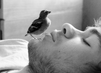 Por um mundo de sentimentos livres