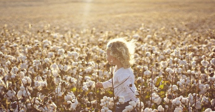 sentir saudade Ahh… esse nosso ofício de sentir saudade.