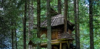 As 15 casas na árvore mais surpreendentes do mundo
