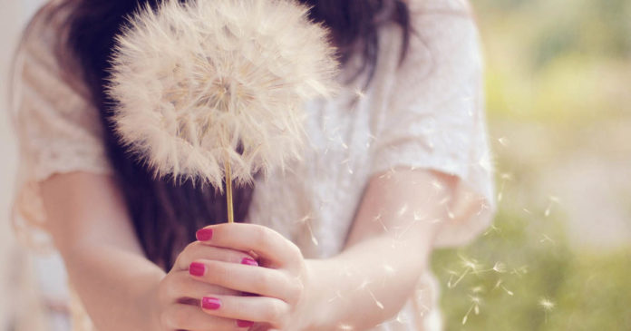 NOSSSA MELHOR VERSÃO A eterna busca pela nossa melhor versão