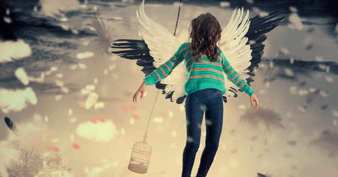 O sonho e a ilusão – uma diferença de essência