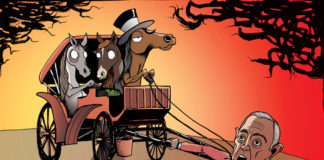 Ilustrações de um mundo onde pessoas são tratadas como animais Ilustrações de um mundo onde pessoas são tratadas como animais