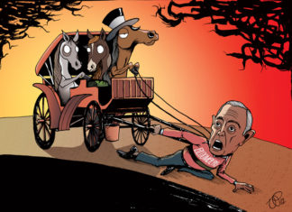 Ilustrações de um mundo onde pessoas são tratadas como animais