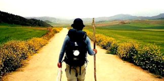 Às vezes, a vida não pede escolhas e sim renúncias Às vezes, a vida não pede escolhas e sim renúncias