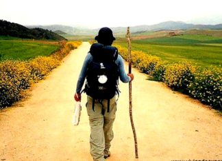 Às vezes, a vida não pede escolhas e sim renúncias