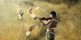 “Sereno é quem tem a paz de estar em par com Deus”. “Sereno é quem tem a paz de estar em par com Deus”.