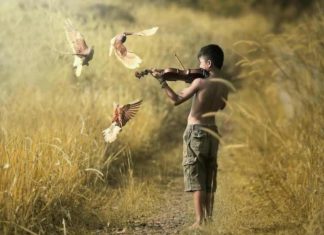 “Sereno é quem tem a paz de estar em par com Deus”.