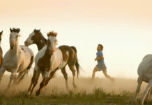 14 filmes biográficos de pessoas que inspiram e podem influenciar a sua vida 14 filmes biográficos de pessoas que inspiram e podem influenciar a sua vida