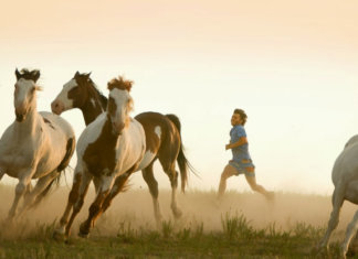 14 filmes biográficos de pessoas que inspiram e podem influenciar a sua vida