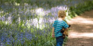 A força que move o mundo