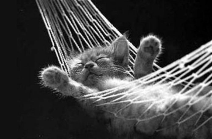 A zona de conforto não é um lugar de onde fugir. É onde todos desejam estar mas ninguém assume.