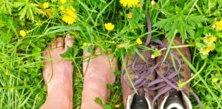 Os benefícios de andar descalço 5 minutos todos os dias Os benefícios de andar descalço 5 minutos todos os dias