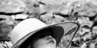 Ordem absurda não se cumpre!