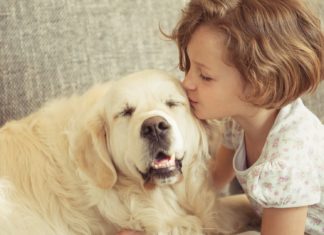 Cães e gatos fazem parte da família, sim!