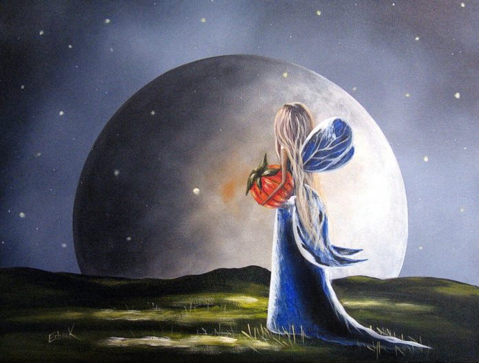 nadiemehara_1 Eu mereço tudo o que desejo e ninguém vai me dizer o contrário