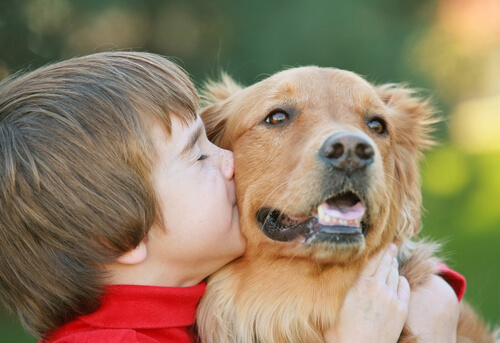 contioutra.com - Os cachorros sentem emoções comparadas às de uma criança