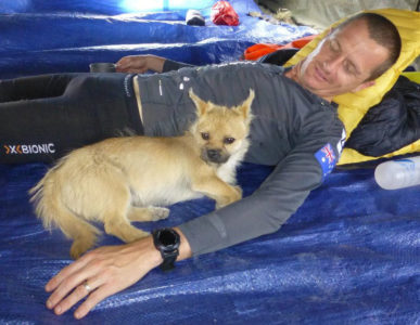 contioutra.com - Corredor de ultramaratona adota cachorrinha que correu com ele 123 quilômetros