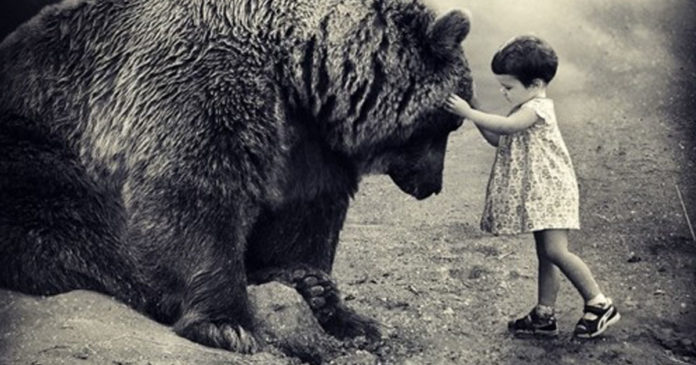 Seja humilde. Não seja capacho!
