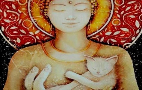 contioutra.com - A lenda budista sobre os gatos